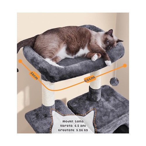 Ansamblu Joaca Pentru Pisici KD Home ClawCloud Loft