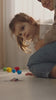 Set De Joaca Curatenie KidProtect Learn & Clean Kit