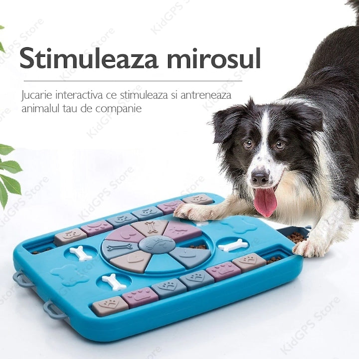 Castron hranire lenta caini si pisici cu puzzle Grunluft HappyPET PB-AY-123