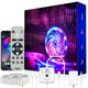 Kit Banda LED Huerler Smart RGB 27 metri (2 X 13.5m)